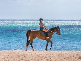 Une balade à cheval dans un joli cadre