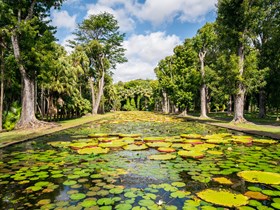 Jardin de Pamplemousses