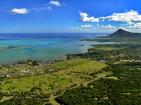La forêt d'Ebony à l'île Maurice