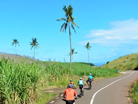 Découvrez Pamplemousses en electrobike