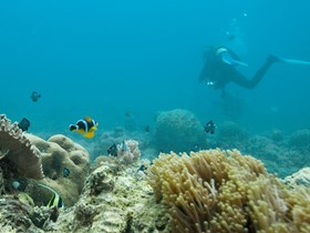 Plongée sous-marine à l'île Maurice