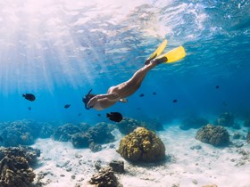Snorkeling à l'île Maurice