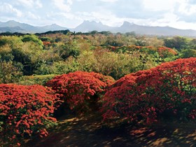 Quand partir à l'île Maurice, la meilleure saison pour voyager