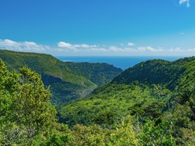 Gorges de la Rivière Noire