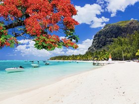 Noël à l'île Maurice