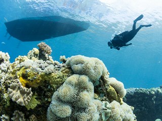Plongée à l'île Maurice