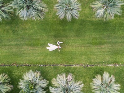 Forfait Mariage Tropical