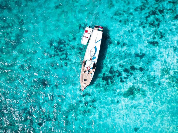Explorez les exceptionnels fonds marins