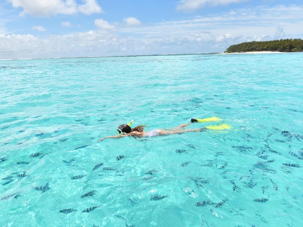 L'adresse idéale pour les passionnés de snorkeling