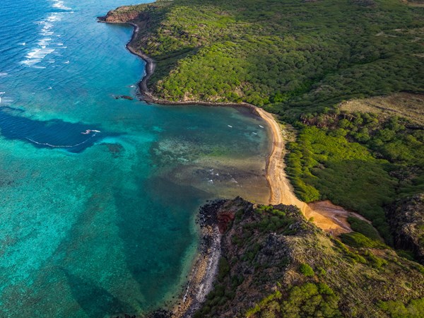 Rodrigues, une escapade sauvage