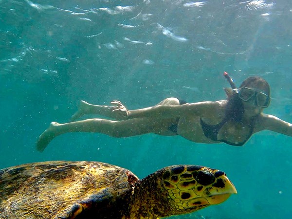 Explorez les fonds marins