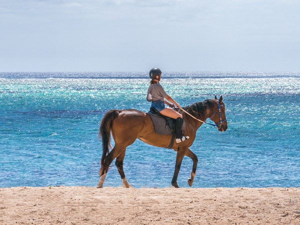 Une balade à cheval dans un joli cadre