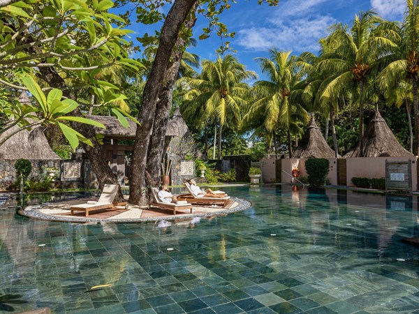 Spa de rêve et piscine tropicale
