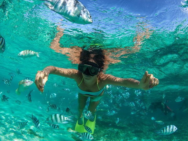 Snorkeling à Blue Bay, lagon protégé et coloré