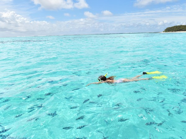 Un jardin marin d’exception