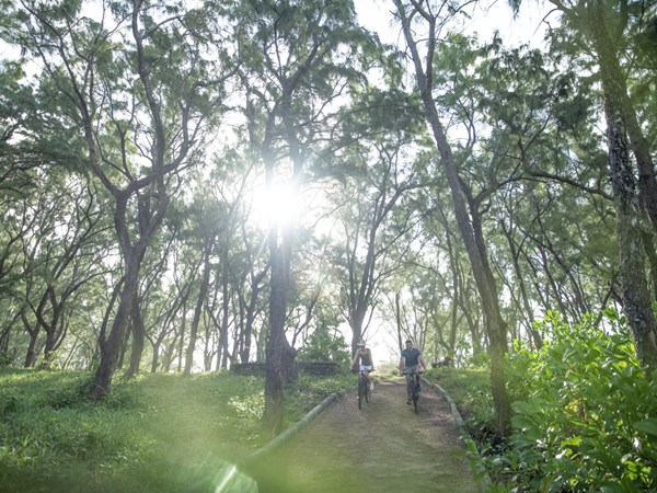 Profitez d'une balade à velo