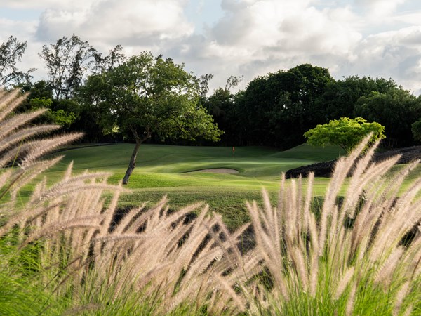 Le magnifique cadre du Belle Mare Plage Links Golf Club