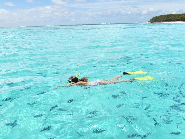 Explorez sa vie marine foisonnante