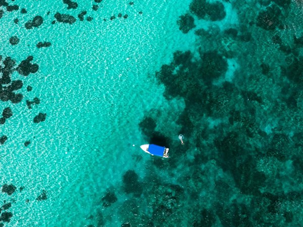 Blue Bay, un parc marin aux magnifiques trésors
