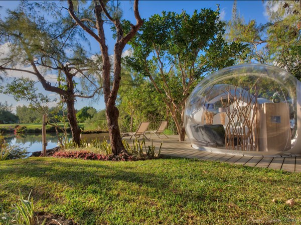 Profitez d'une nuit magique sous une bulle transparente