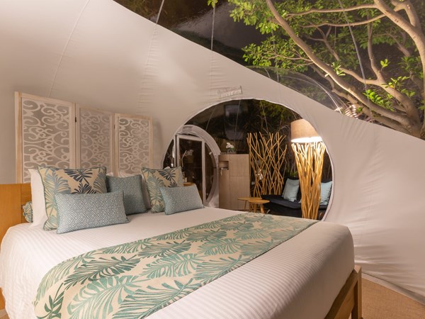 Banyan Tree Bubble