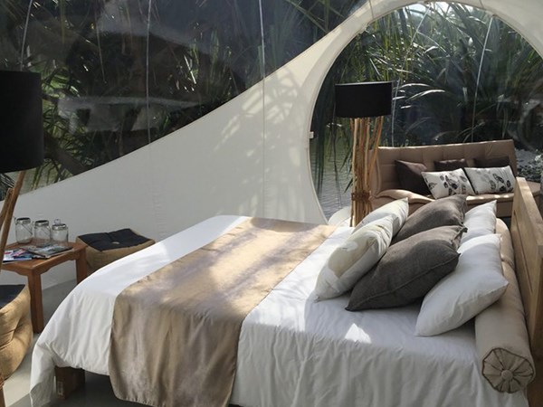 Bubble Lodge Bois Chéri