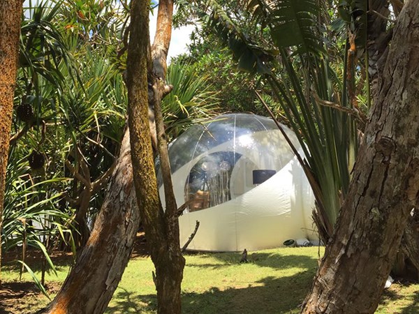 les bulles s’ouvrent sur un écrin de verdure et de sérénité