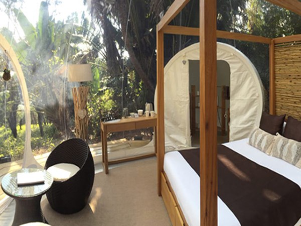 Bubble Lodge Bois Chéri