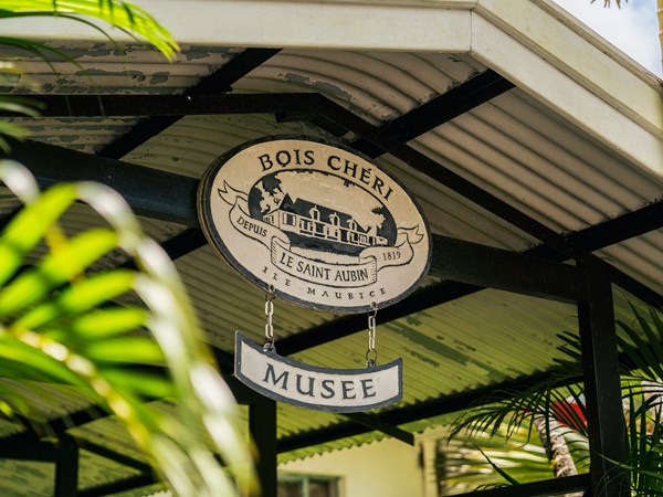 Musée Bois Chéri : immersion dans l’histoire du thé