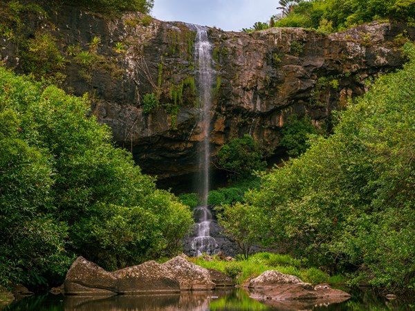 Les majestueuses Sept Cascades, joyau naturel de la Rivière Noire