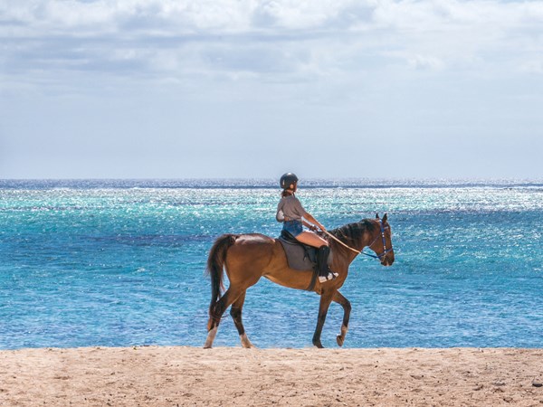 Balade à cheval sur la plage