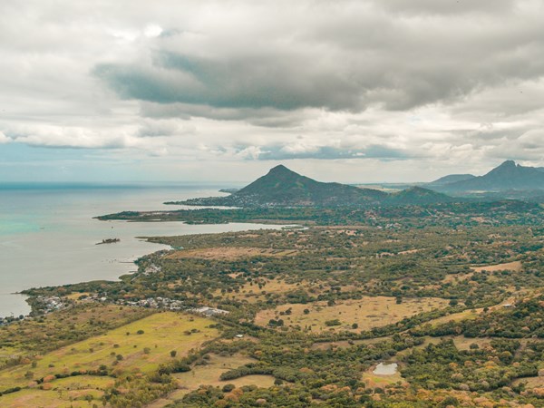 Découverte de la réserve naturelle d’Ebony Forest