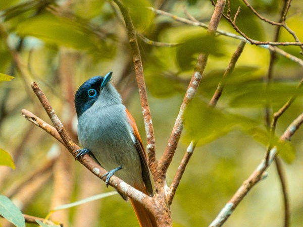 Partez à la rencontre des animaux de la réserve