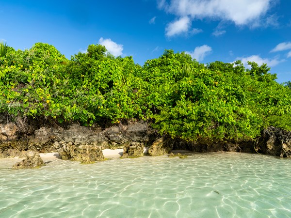 Vue magnifique d’une baie cachée, rochers calcaires et végétation luxuriante.