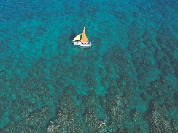 Sortie en mer