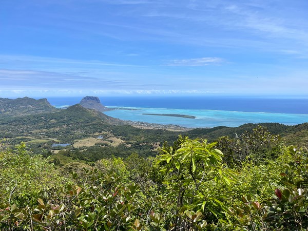 Le merveilleux panorama depuis le Piton de Rivière Noire