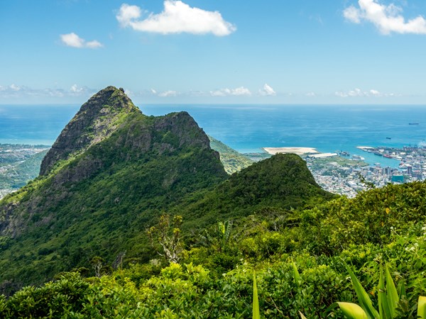 La vue depuis la montagne verdoyante du Pouce