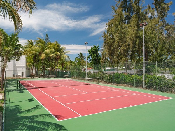 Le court de tennis