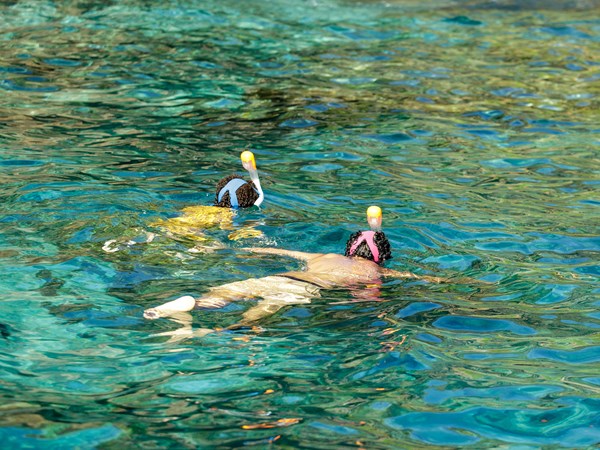 Explorez la faune marine