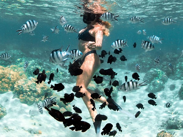 Un décor sous-marin fascinant