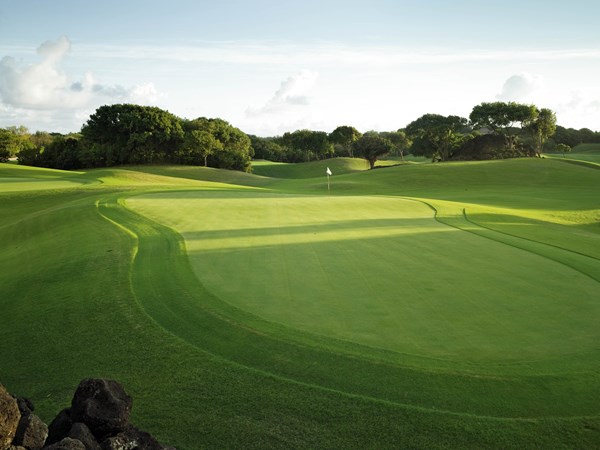 Profitez du Golf