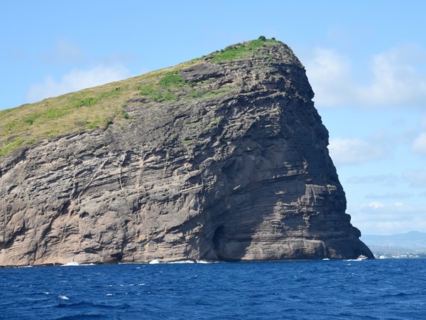 Découvre le Coin de Mire sous son plus beau jour