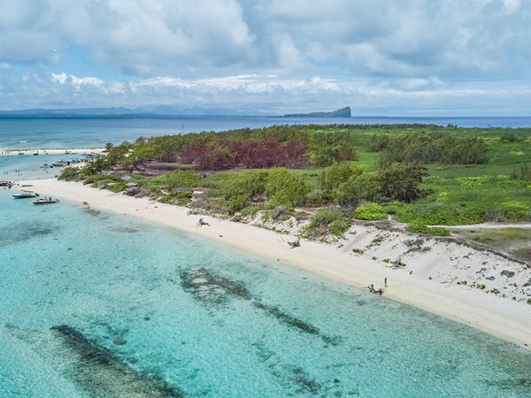 Île Plate baignée dans un turquoise éclatant.