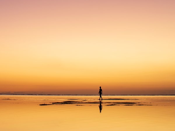 Admirez de magnifiques couchers de soleil