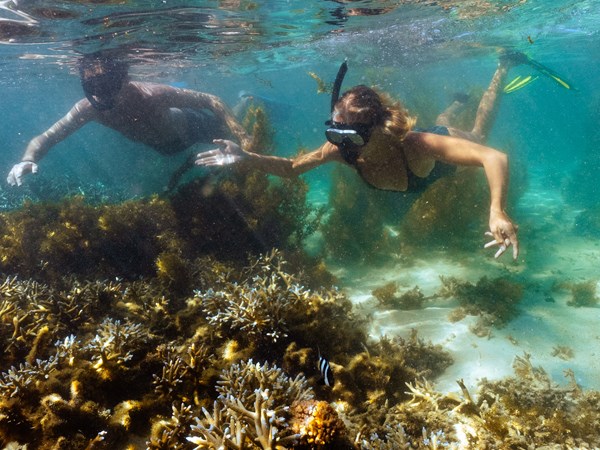 Adonnez-vous au snorkeling