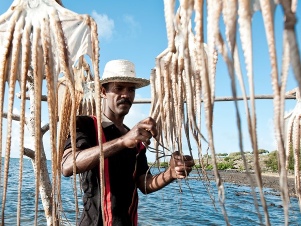 La pêche aux poulpes, spécialité de Rodrigue