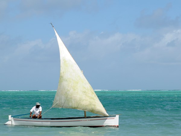 La pêche, principale activité à Rodrigues