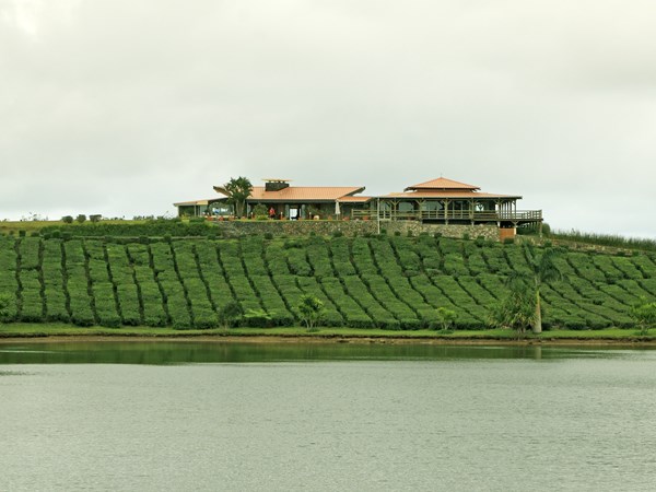 Le Domaine Bois Chéri