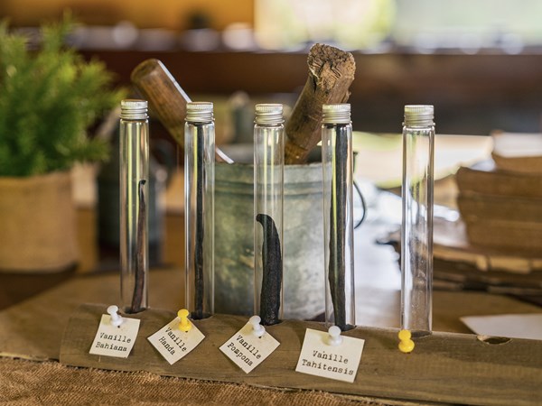 Les différentes variétés de vanille