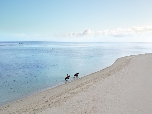 Offrez-vous une inoubliable balade à cheval le long du lagon